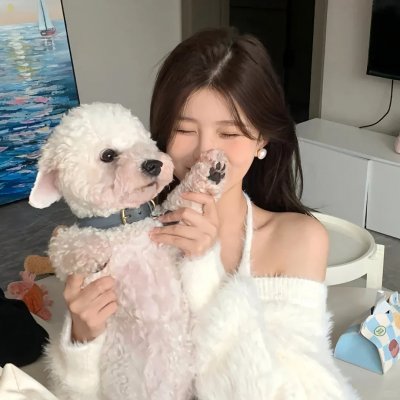 达迪·克拉维兹的学徒生涯