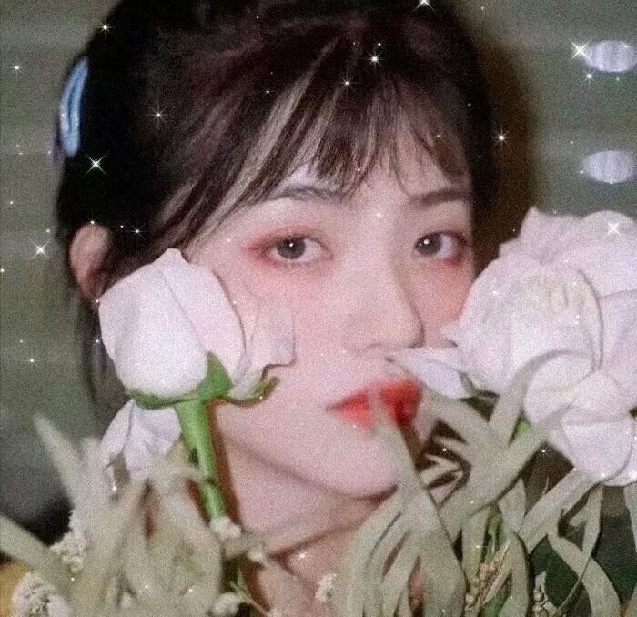 禁爱嫌疑犯